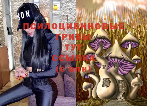метадон Балахна