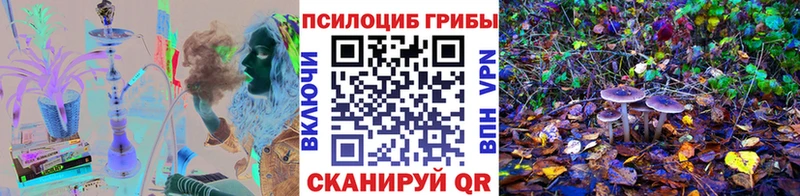 наркотики  Заинск  Псилоцибиновые грибы Cubensis 