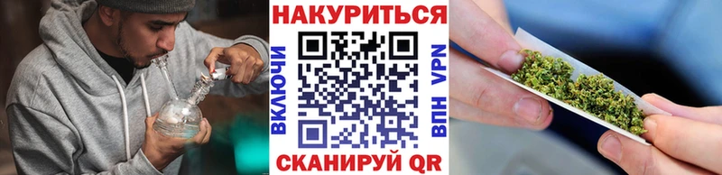 Бошки марихуана гибрид купить наркотик Заинск